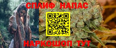 бошки Шебекино