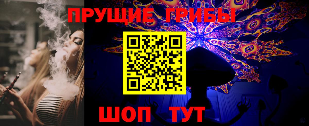 Сертолово  Галлюциногенные грибы Psilocybe  Вход с VPN 