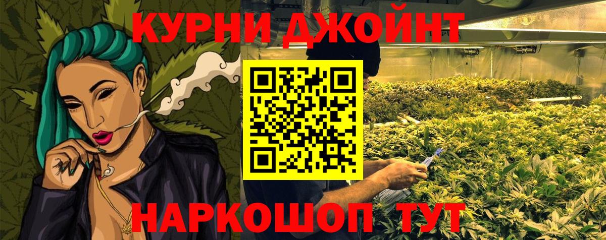 Бошки марихуана ГИДРОПОН  Марихуана сатива  Сертолово  Вход с VPN  Канабис SATIVA & INDICA 